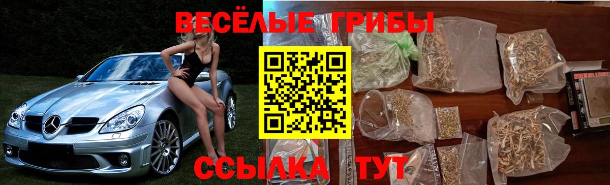 Галлюциногенные грибы Psilocybine cubensis Кириши